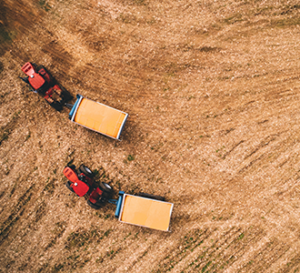 harvesting crops