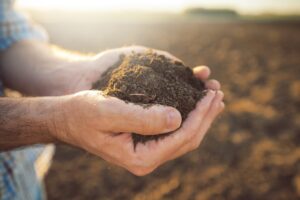 Soil