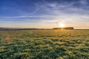 morning sunrise on fields